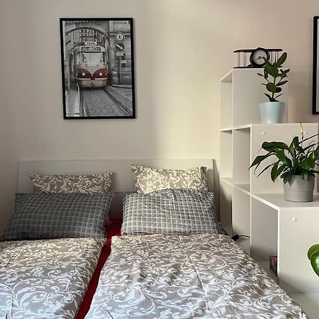 Modern Apartment Krymska & Francouzska Street 布拉格 外观 照片