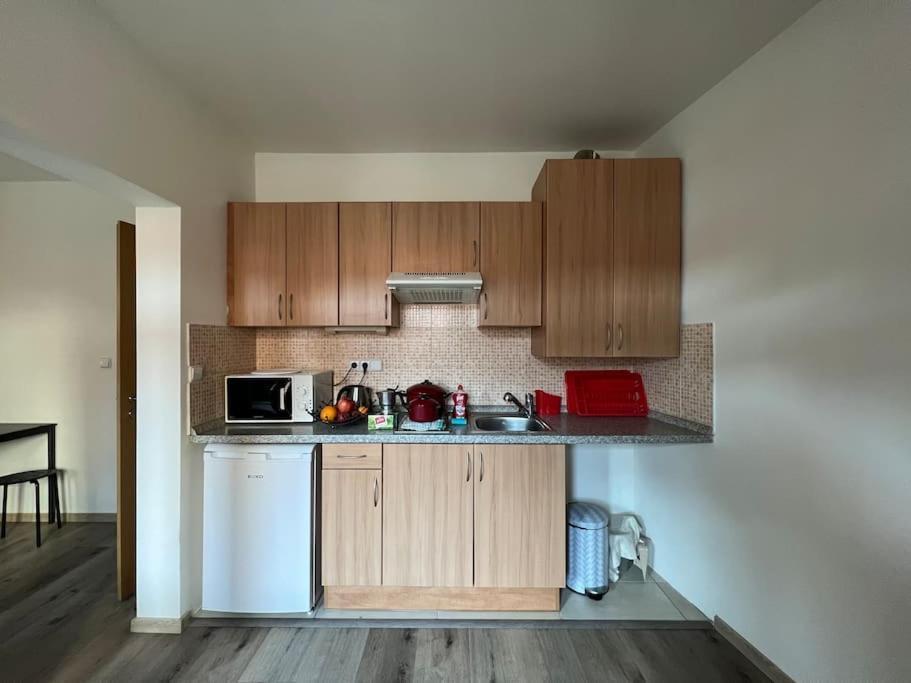 Modern Apartment Krymska & Francouzska Street 布拉格 外观 照片