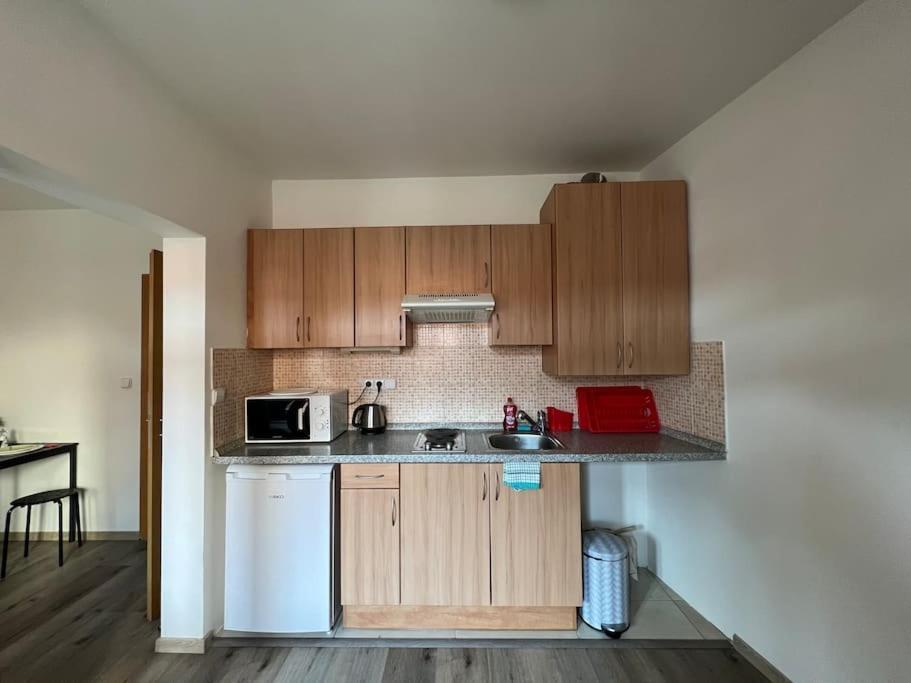 Modern Apartment Krymska & Francouzska Street 布拉格 外观 照片
