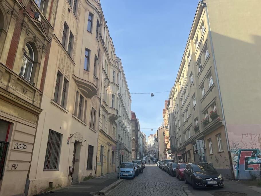 Modern Apartment Krymska & Francouzska Street 布拉格 外观 照片