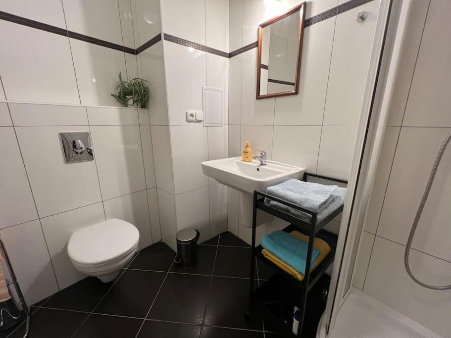 Modern Apartment Krymska & Francouzska Street 布拉格 外观 照片