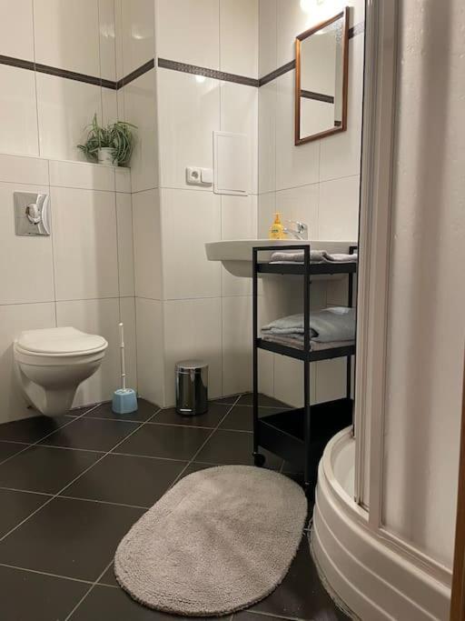 Modern Apartment Krymska & Francouzska Street 布拉格 外观 照片